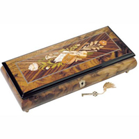 ������ ������� ��� ������ Donato&Maresca IT806MUSVIOLIN