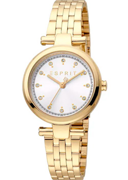 Часы Esprit Laila Dot ES1L281M1065