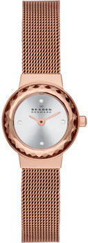 Швейцарские наручные женские часы Skagen SKW2187. Коллекция Mesh от Bestwatch.ru Швейцарские наручные женские часы Skagen SKW2187. Коллекция Mesh от Bestwatch.ru