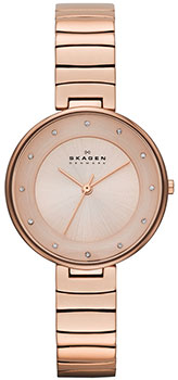 Швейцарские наручные женские часы Skagen SKW2227. Коллекция Links от Bestwatch.ru Швейцарские наручные женские часы Skagen SKW2227. Коллекция Links от Bestwatch.ru