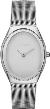 Швейцарские наручные женские часы Skagen SKW2297. Коллекция Mesh от Bestwatch.ru Швейцарские наручные женские часы Skagen SKW2297. Коллекция Mesh от Bestwatch.ru