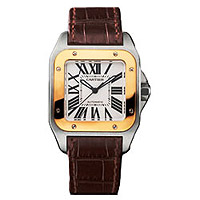 ���� Cartier Santos 100