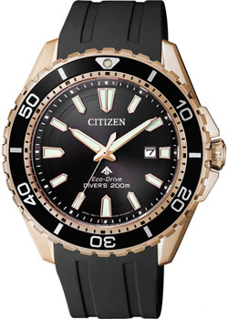 Японские наручные  мужские часы Citizen BN0193-17E. Коллекция Promaster