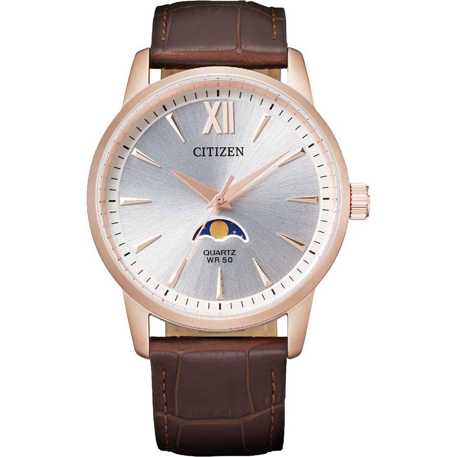 Citizen wr 50 leather online