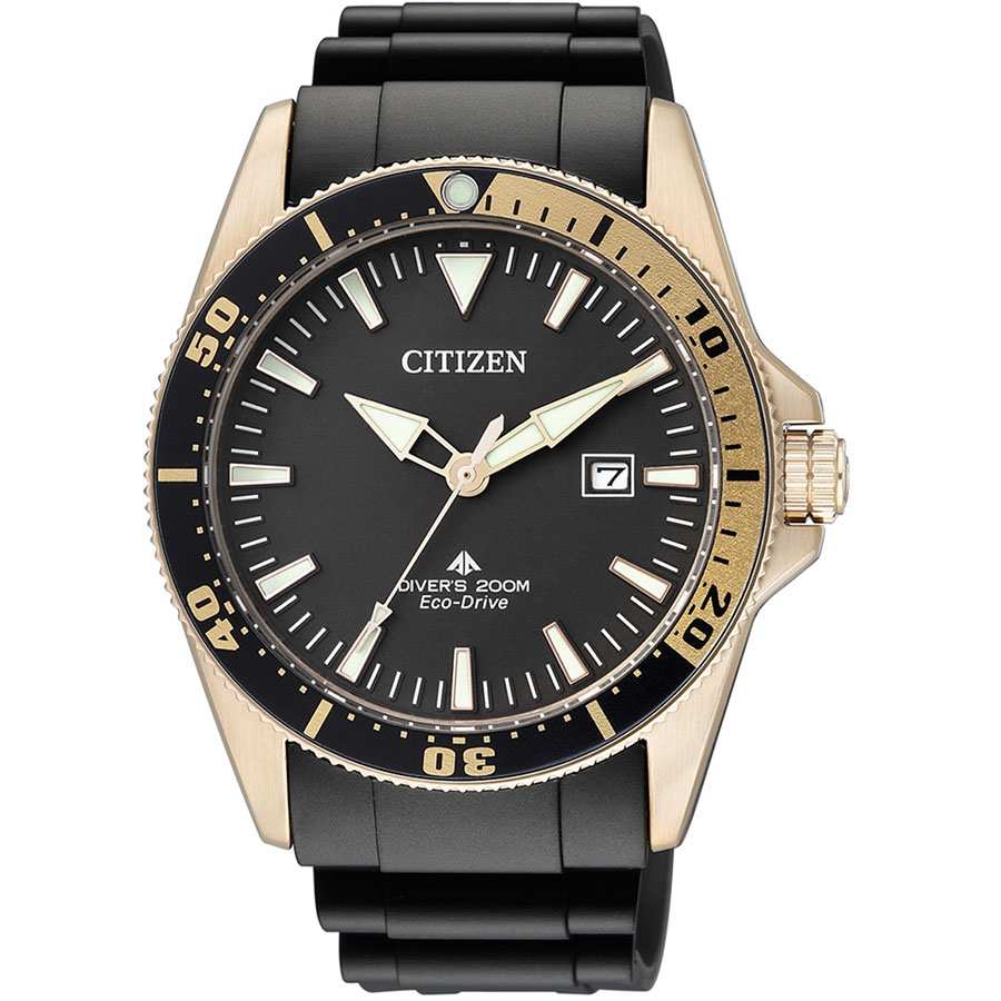 цена Часы Citizen BN0104-09E
