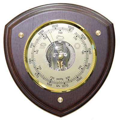 

Сопутствующие товары Brig BM91207-V