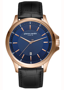 

fashion наручные мужские часы Pierre Cardin PC902381F04. Коллекция Gents