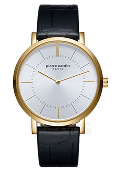 

fashion наручные мужские часы Pierre Cardin PC902621F02. Коллекция Gents