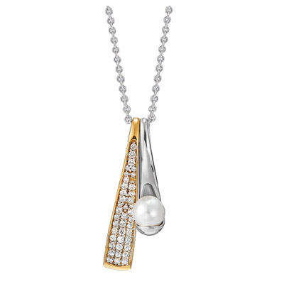 

Серебряное колье PCNL-90433.B
