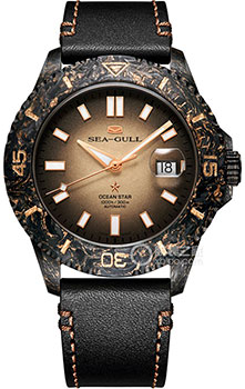 

Наручные мужские часы Seagull 419.82.1209. Коллекция Ocean Star