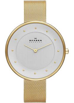 Skagen Часы Skagen SKW2141. Коллекция Mesh