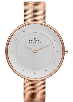 Skagen Часы Skagen SKW2142. Коллекция Mesh