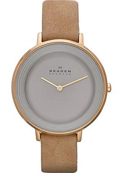 Skagen Часы Skagen SKW2215. Коллекция Leather