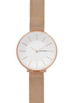 

Швейцарские наручные женские часы Skagen SKW2688. Коллекция Mesh