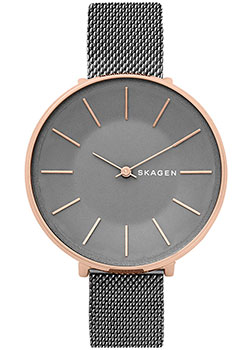 

Швейцарские наручные женские часы Skagen SKW2689. Коллекция Mesh