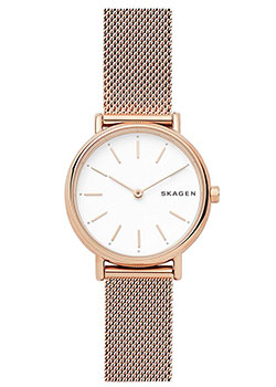 

Швейцарские наручные женские часы Skagen SKW2694. Коллекция Mesh