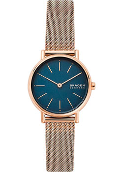 

Швейцарские наручные женские часы Skagen SKW2837. Коллекция Mesh