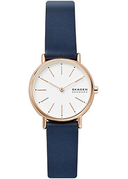 

Швейцарские наручные женские часы Skagen SKW2838. Коллекция Leather