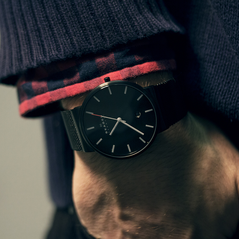 Skagen SKW6053 Bestwatch.ru.