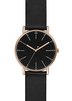

Швейцарские наручные мужские часы Skagen SKW6401. Коллекция Leather