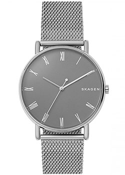 

Швейцарские наручные мужские часы Skagen SKW6428. Коллекция Mesh