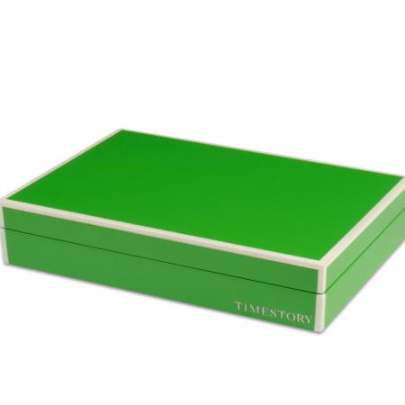 

Сопутствующие товары TimeStory TSSP-RG