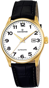 

Швейцарские наручные мужские часы Candino C4459.1. Коллекция Class