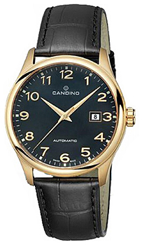 

Швейцарские наручные мужские часы Candino C4459.4. Коллекция Class