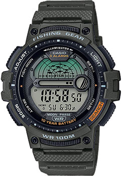 

Японские наручные мужские часы Casio WS-1200H-3AVEF. Коллекция Digital