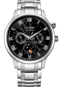 Часы Citizen Eco-Drive AP1050-81E