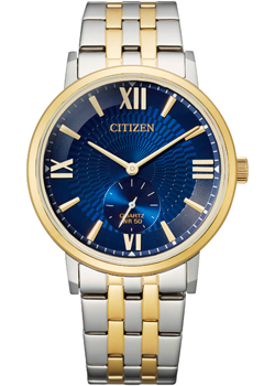 Часы Citizen Basic BE9176-76L