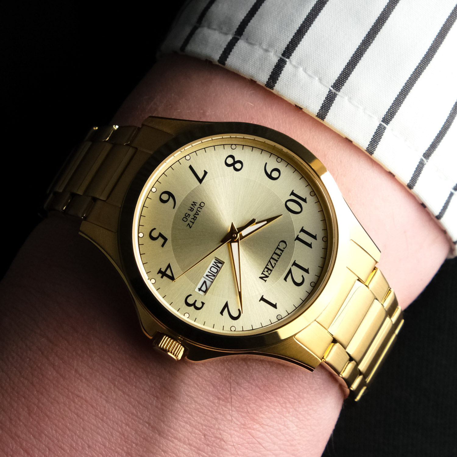 citizen BF2028-83P
