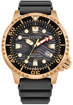 

Японские наручные мужские часы Citizen BN0163-00H. Коллекция Promaster