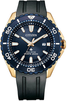 Часы Citizen Promaster BN0196-01L