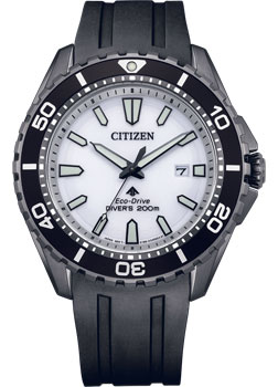 Часы Citizen Ecо-Drive BN0197-08A