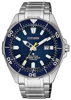 Часы Citizen Eco-Drive BN0201-88L