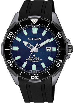 

Японские наручные мужские часы Citizen BN0205-10L. Коллекция Eco-Drive
