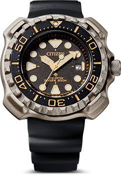 Часы Citizen Promaster BN0220-16E