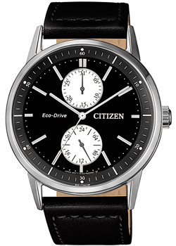 Часы Citizen Eco-Drive BU3020-15E