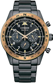 Часы Citizen Eco-Drive CA4556-89E