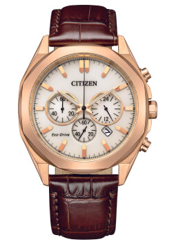 Часы Citizen Eco-Drive CA4593-15A