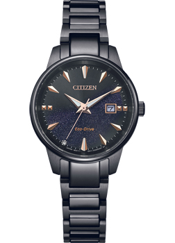 Часы Citizen Eco-Drive EW2595-81E