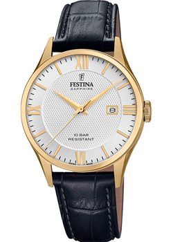 Часы Festina Swiss Made F20010.2