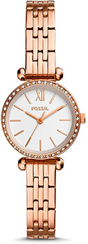 

fashion наручные женские часы Fossil BQ3502. Коллекция Tillie Mini