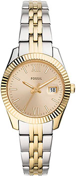 Часы Fossil Scarlette Mini ES4949