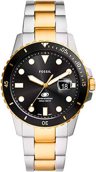 Часы Fossil Fossil Blue FS6031