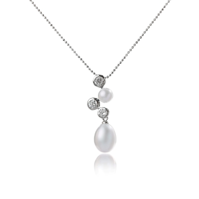 

Серебряное колье NP1172
