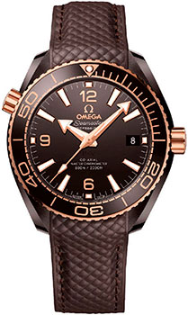 Часы Omega Seamaster Planet Ocean 600M 215.62.40.20.13.001
