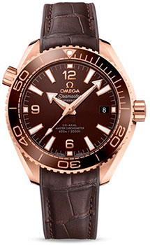 Часы Omega Seamaster Planet Ocean 600M 215.63.40.20.13.001