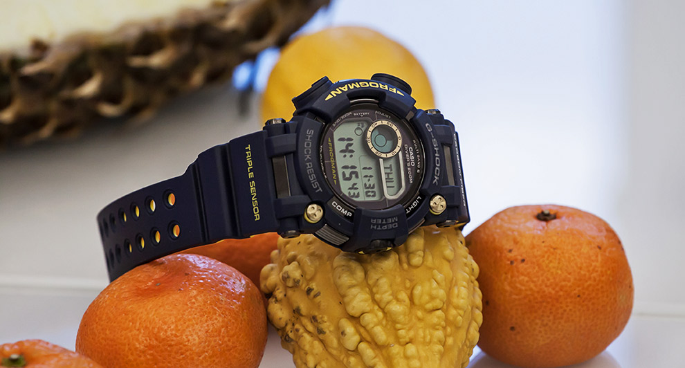 Casio G Shock Frogman GWF D1000NV 2E